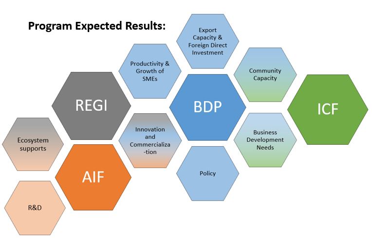 Diagram illustrating areas of overlap in expected results between REGI, AIF, BDP and ICF